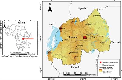 Leveraging Digital Tools and Crowdsourcing Approaches to Generate High-Frequency Data for Diet Quality Monitoring at Population Scale in Rwanda
